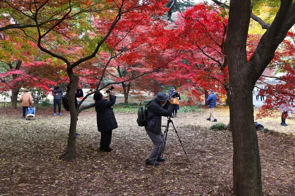 Tokyo Japão Novembro 2016 Entusiastas Hobby Fotografia Visitam Shinjuku Gyoen — Fotografia de Stock