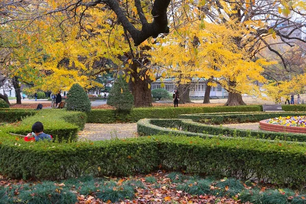 Tokyo Japan November 2016 People Visit Shinjuku Gyoen Tokyo Japan — Stock Photo, Image