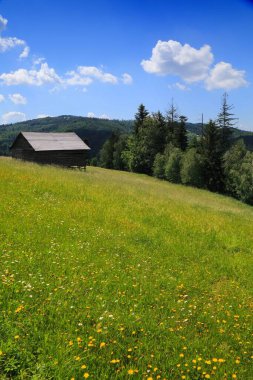Polonya 'daki Silesian Beskids (Beskid Slaski) manzarası. Dağ çayırı yaz manzarası. Stozek yürüyüş yolu.