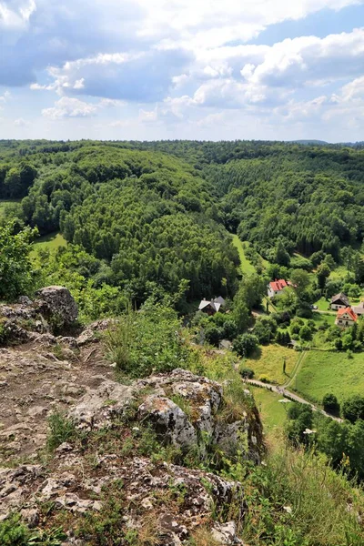 克拉科夫附近的Dolina Bedkowska山谷 小波兰的夏季风景 马洛波尔斯卡 — 图库照片