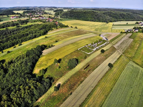 Wheat Rye Barley Crops Lesser Poland Rural Landscape Malopolska Barley — Stock Photo, Image