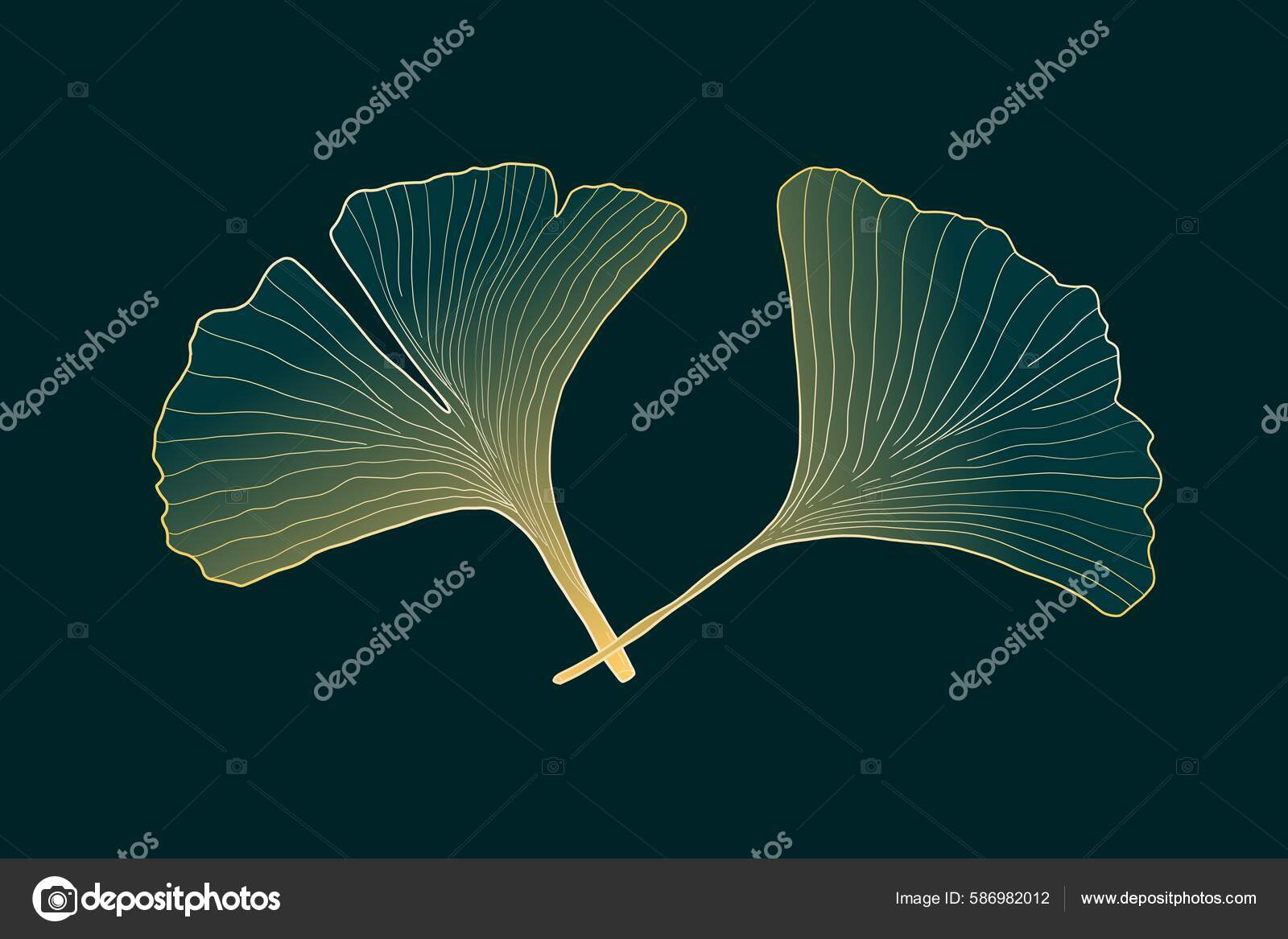 Ginkgo Biloba Leaves Japanese Theme Wabi Sabi Style Simple Gingko Stock