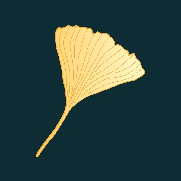 Ginkgo Gold Leaf Ginkgo Biloba Autumn Foliage Japanese Isolated Vector — Διανυσματικό Αρχείο