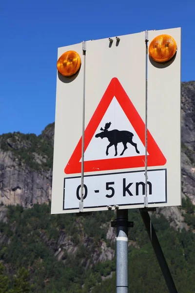 Elch Warnschild Einer Bergstraße Setesdal Tal Kreis Agder Norwegen — Stockfoto