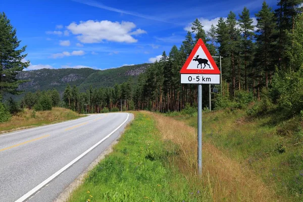 Señal Advertencia Camino Montaña Valle Setesdal Condado Agder Noruega —  Fotos de Stock