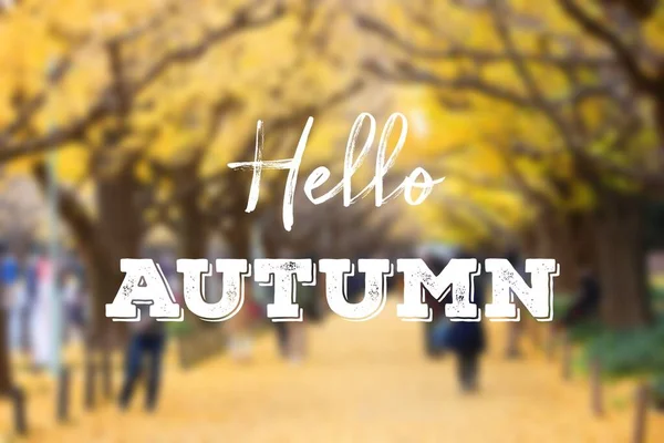 Hallo Herbst Web Banner Social Media Zeichen Für Den Herbst — Stockfoto