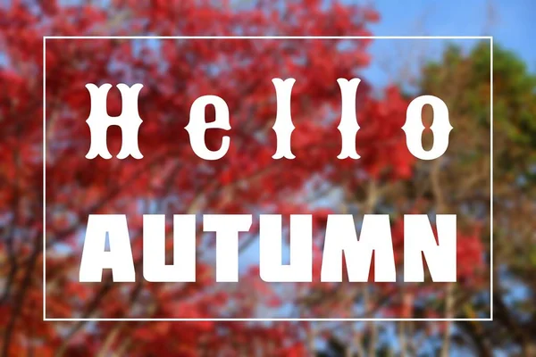 Olá Outono Web Banner Assinatura Mídia Social Para Temporada Outono — Fotografia de Stock