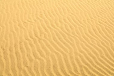 Fas 'ta kum deseni. Çöl kum dalgaları arkaplanı.