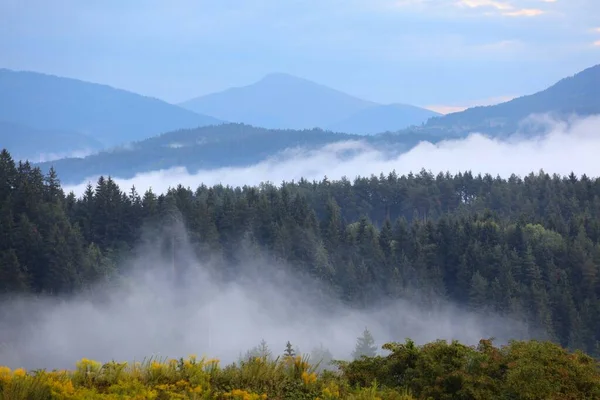 Δάση Ομιχλώδη Στρώματα Gailtal Άλπεις Θέα Στο Βουνό Μετά Βροχή — Φωτογραφία Αρχείου