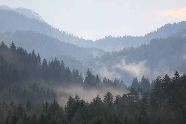 Neblige Waldschichten Den Gailtaler Alpen Bergblick Nach Regen Kärnten — Stockfoto