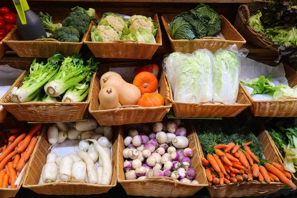 Gemüse Sellerie Kürbis Kohl Rettich Auf Dem Lokalen Bauernmarkt Beziers — Stockfoto