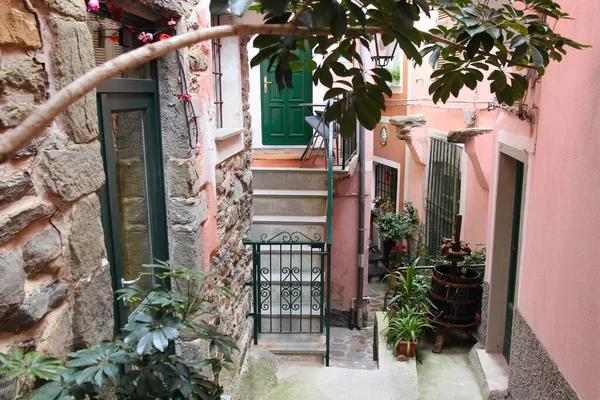 Cinque Terre Itália Rua Estreita Pitoresca Cidade Velha Medieval Colorida — Fotografia de Stock
