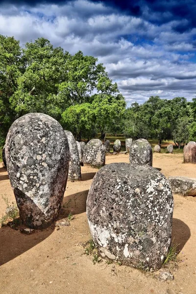 Sitio Megalítico Portugal Círculo Piedra Civilización Neolith Almendres Cromlech Cerca — Foto de Stock