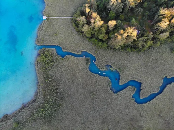 Avusturya Görüntüsü Carinthia Eyaletindeki Faak Gölü Ndeki Sazlıklar Arasında Dolaşanlar — Stok fotoğraf