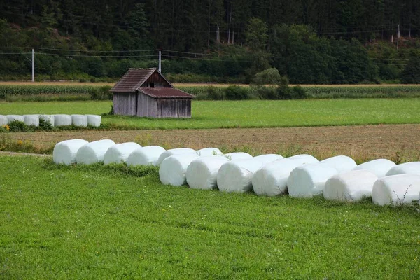 Szilázs Vagy Jégeső Bálák Karintiában Ausztriában Állati Takarmány Műanyag Tapadófóliába — Stock Fotó