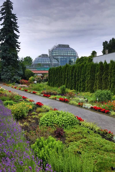 Краков Польша Июля 2021 Цветочные Дорожки Ботаническом Саду Ягеллонского Университета — стоковое фото