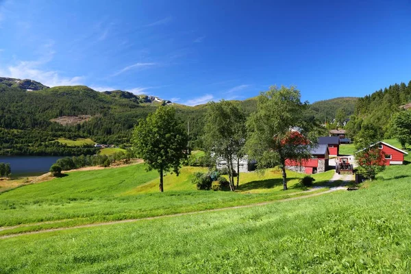 Jordbruk Och Betesmarker Norge Jordbruksområde Regionen Sunnfjord Kommun Vestlands Län — Stockfoto