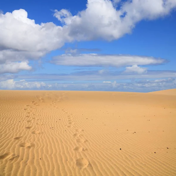 Pustynia Taboga Dunes Pobliżu Agadiru Maroko — Zdjęcie stockowe