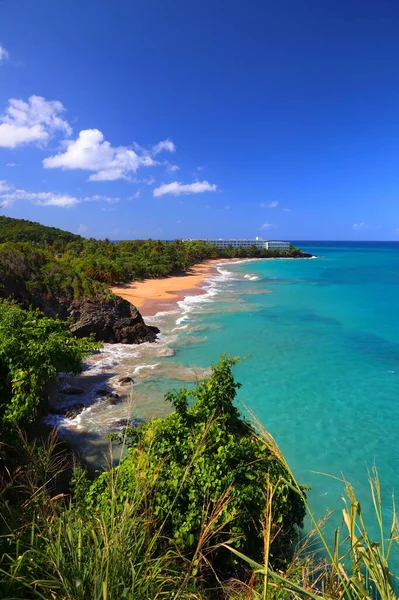Basse Terre Adasının Guadeloupe Plajı Karayip Tatil Manzarası Grand Bas — Stok fotoğraf