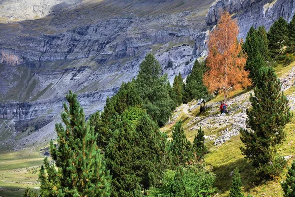 Sendero España Valle Ordesa Pirineos Españoles Senderismo Senda Los Cazadores — Foto de Stock