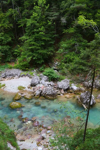 イタリアの自然 オリド デッロ スリッツァ川渓谷ハイキングコース Tarvisio — ストック写真