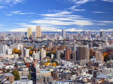 Tokyo şehir manzaralı Hongo, Nishikata, Yayoi ve Yanaka bölgeleri.