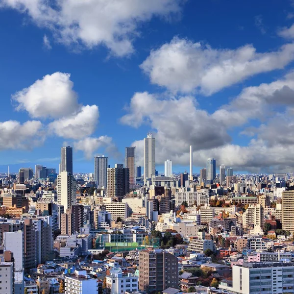 Tokyo big city view with Koishikawa district (Bunkyo Ward) and Ikebukuro skyline (Toshima Ward). Tokyo, Japan.