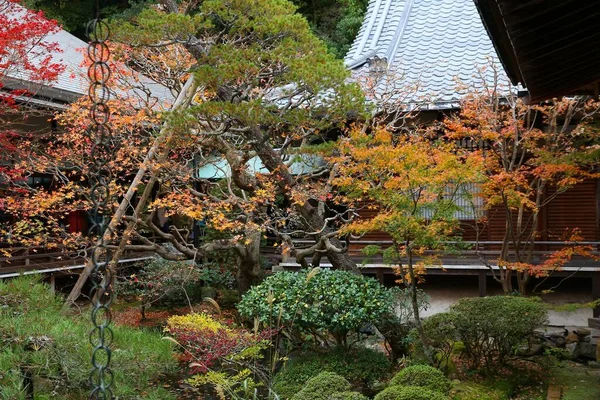 Hito Japón Templo Eikando Kyoto Hojas Otoño Japón — Foto de Stock
