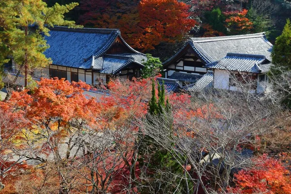 Temple Shoinan Kyoto Japon Feuilles Automne — Photo