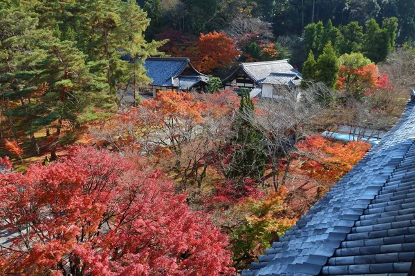 Shoinan Tempel Herbstfarben Kyoto Japan Herbstblätter — Stockfoto