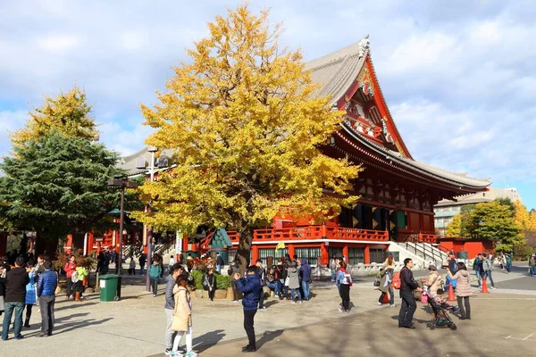 Tokio Japón Diciembre 2016 Gente Visita Templo Sensoji Asakusa Tokio — Foto de Stock
