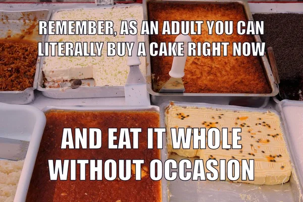 Tårta Roligt Meme För Sociala Medier Dela Humor Att Vara — Stockfoto
