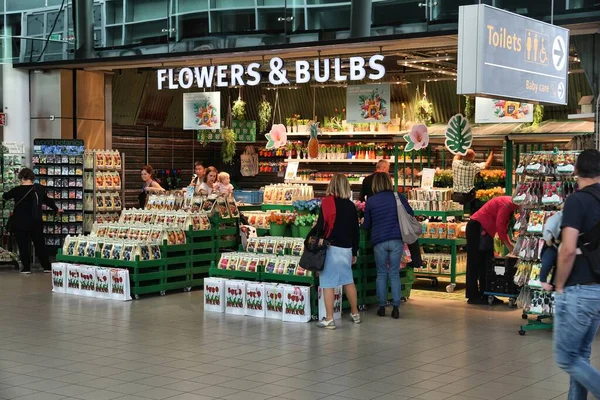 荷兰阿姆斯特丹 2017年7月11日 郁金香花和球茎在阿姆斯特丹斯基浦机场 Schiphol Airport 的商店 斯基浦机场是世界上第12大最繁忙的机场 每年旅客超过6300万 — 图库照片