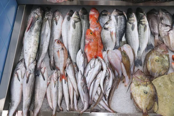 ポルトガルのポルトの伝統的な魚市場 Mercado Bolhaoに魚の屋台 — ストック写真