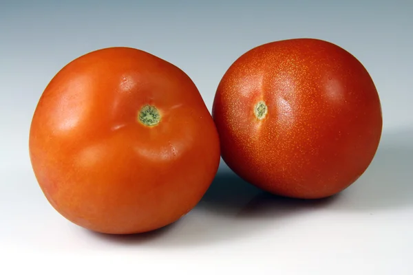 Tomaten — Stockfoto