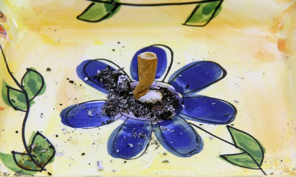 Šňupací tabák vypnout v květu Stock Snímky