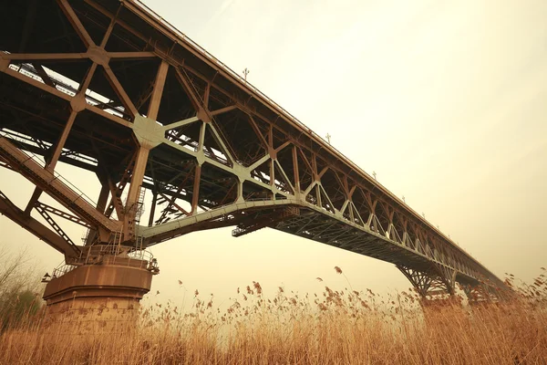 Reed el primer plano y el puente de acero en otoño — Foto de Stock