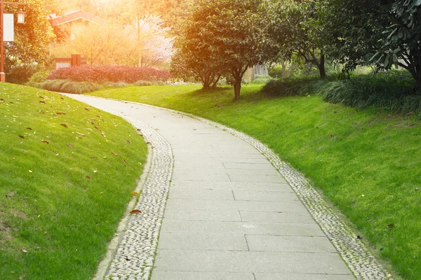 Bomen omzoomde pad in het park — Stockfoto