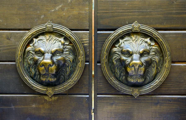 Escultura de león de cobre en la puerta —  Fotos de Stock