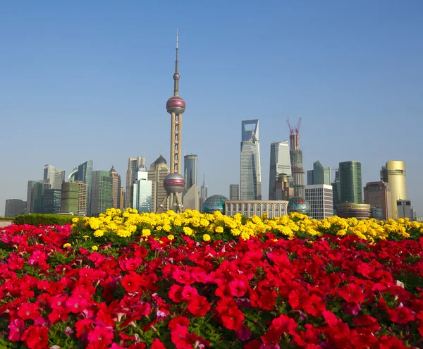 Red morning glory prospects Shanghai landmark city buildings sky — Stock Photo, Image