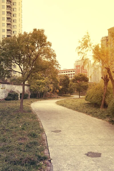 Forest paths in the city's residential district