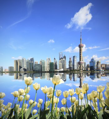 Lale umudu Shanghai Bund'ın Simgesel Yapı manzarası beyaz
