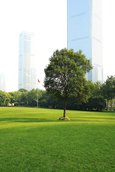 The scene of the Shanghai city — Stock Photo, Image