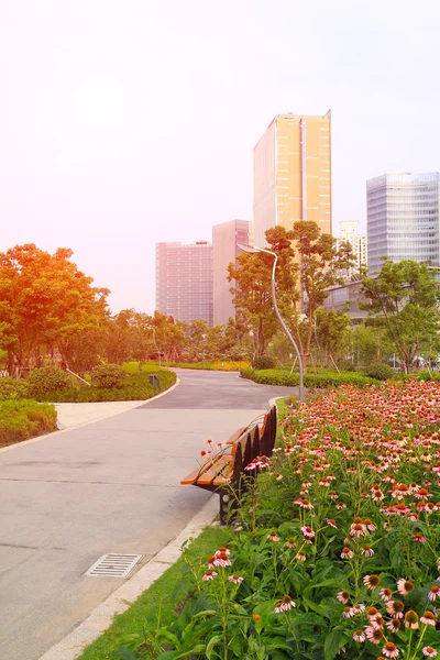 Flowers trail in the city park — Stock Photo, Image