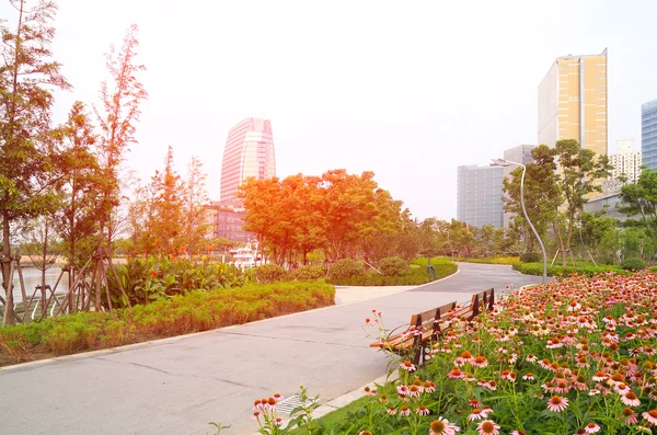 Flowers trail in the city park — Stock Photo, Image