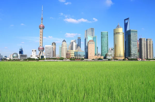 Shanghai Lujiazui by feltet landskab - Stock-foto
