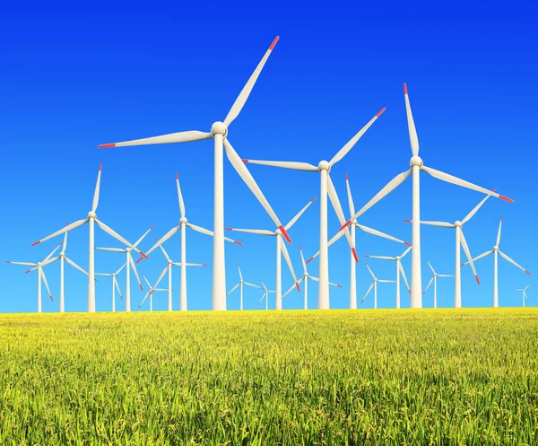 Rice farms Modern wind turbines — Stock Photo, Image