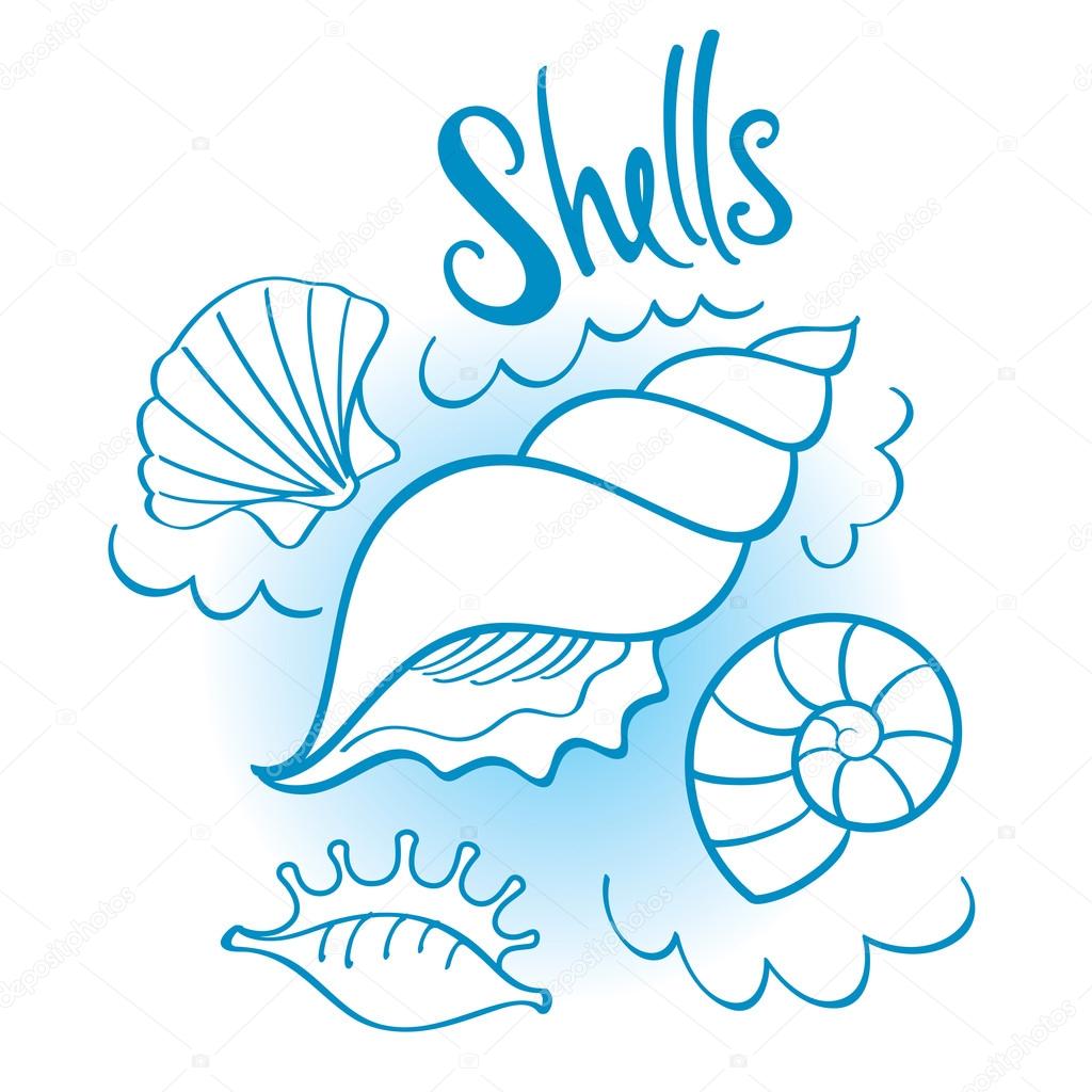 Set of Different shape shells