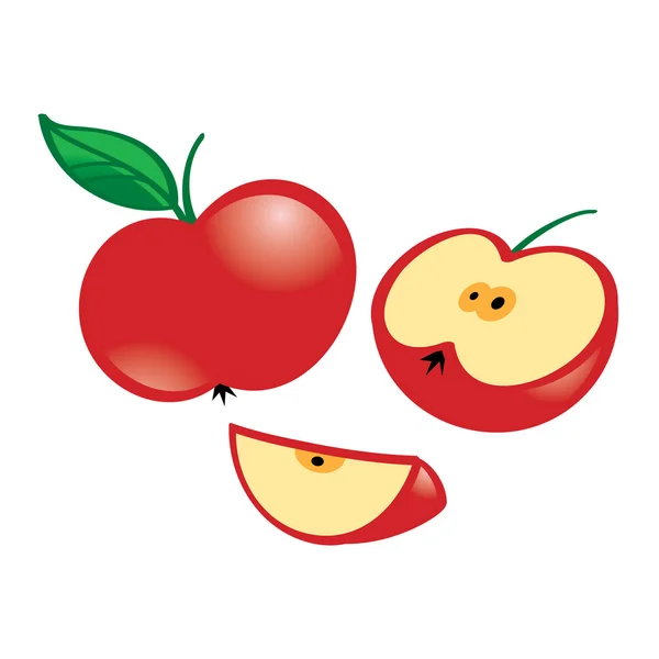 Apple — Stock Vector