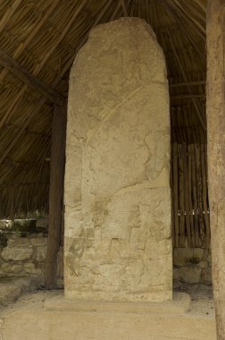 bir taş stel üzerinde Maya glifleri